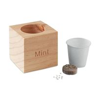 VASO MENTA